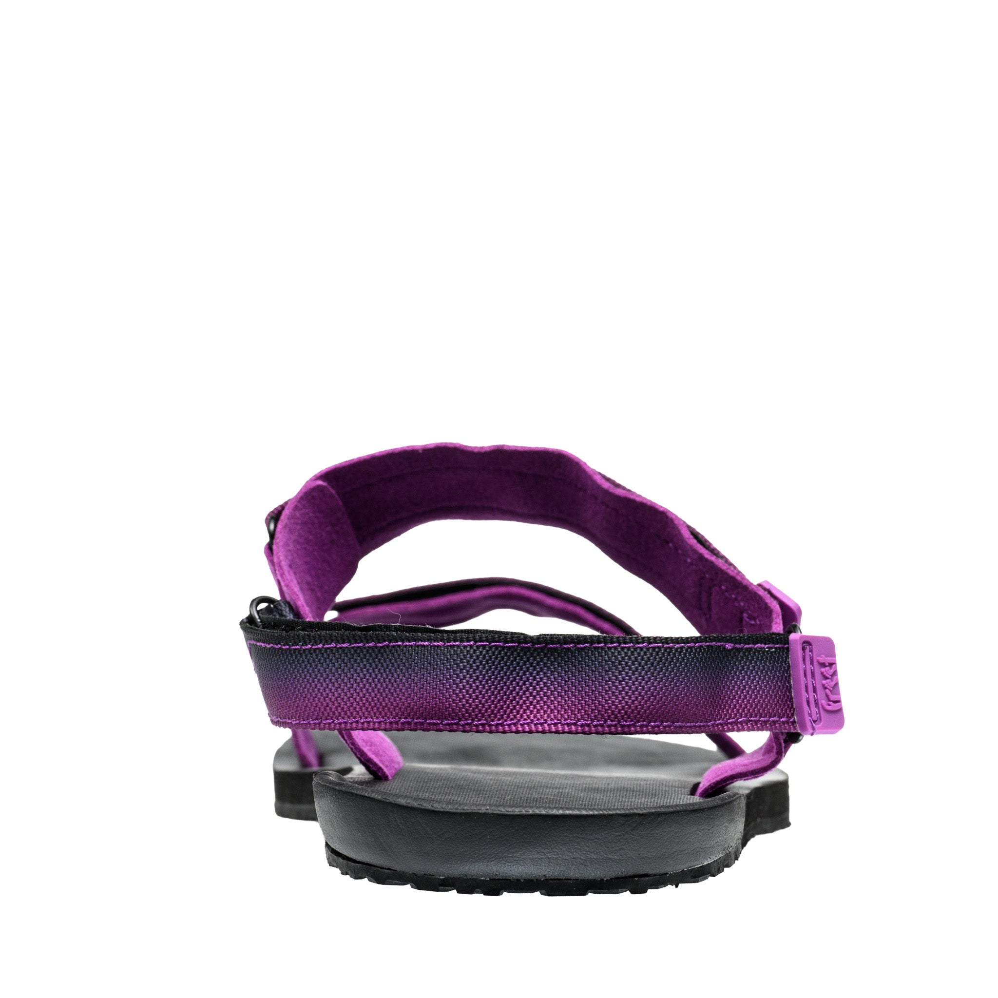 #color_purple
