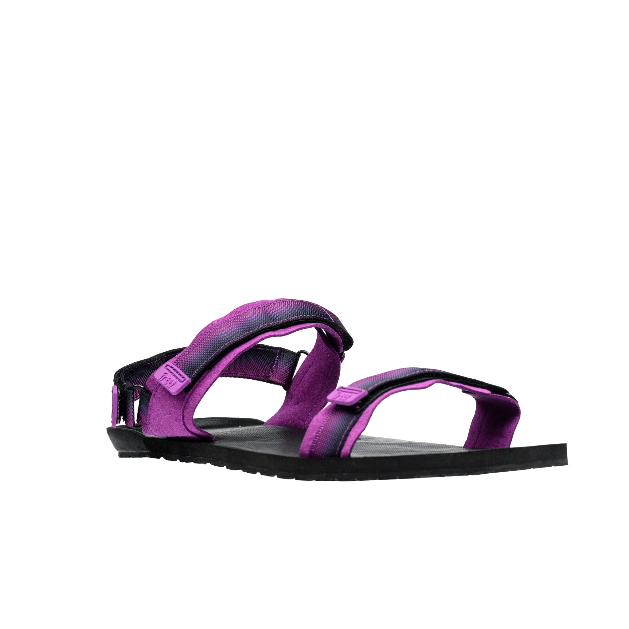 #color_purple