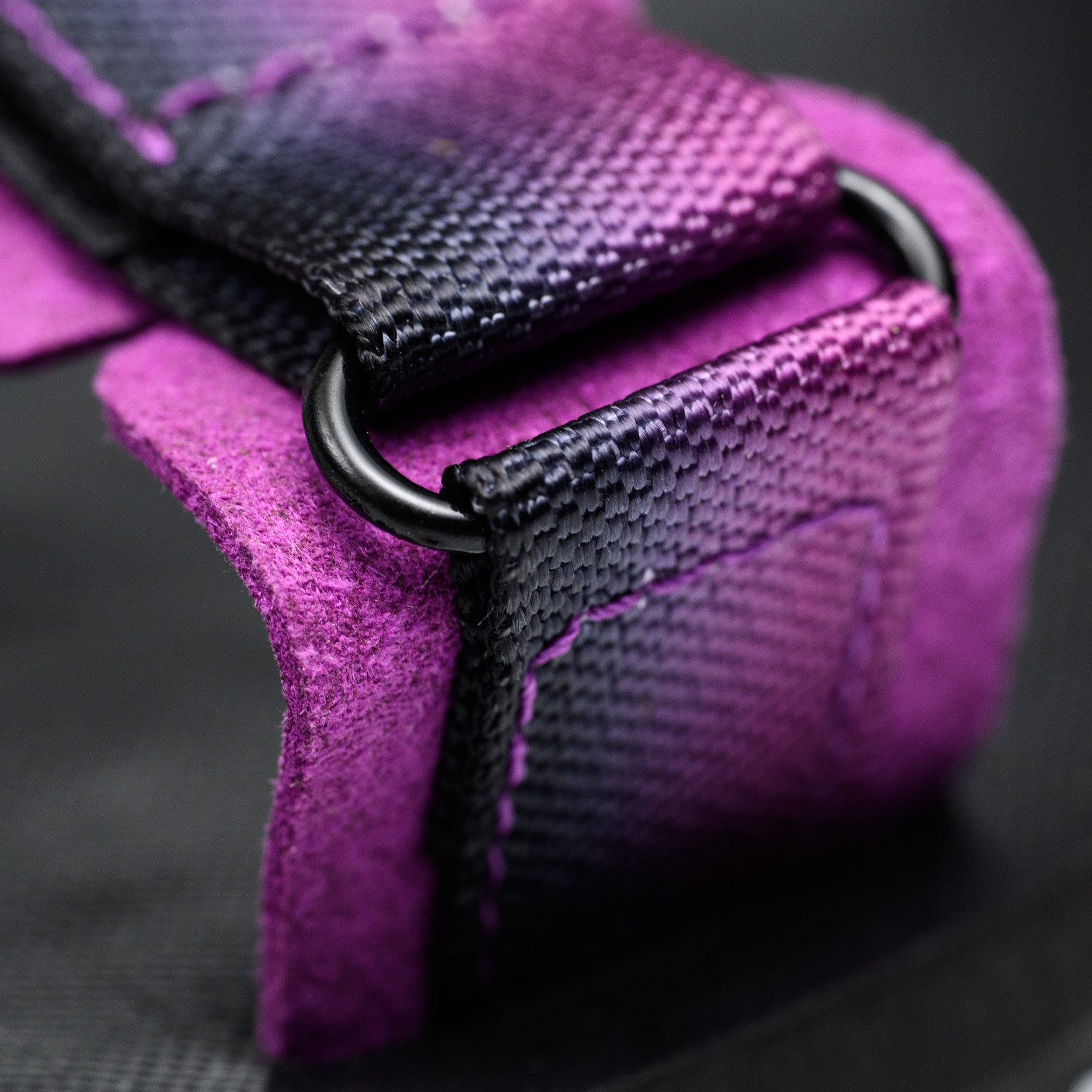 #color_purple