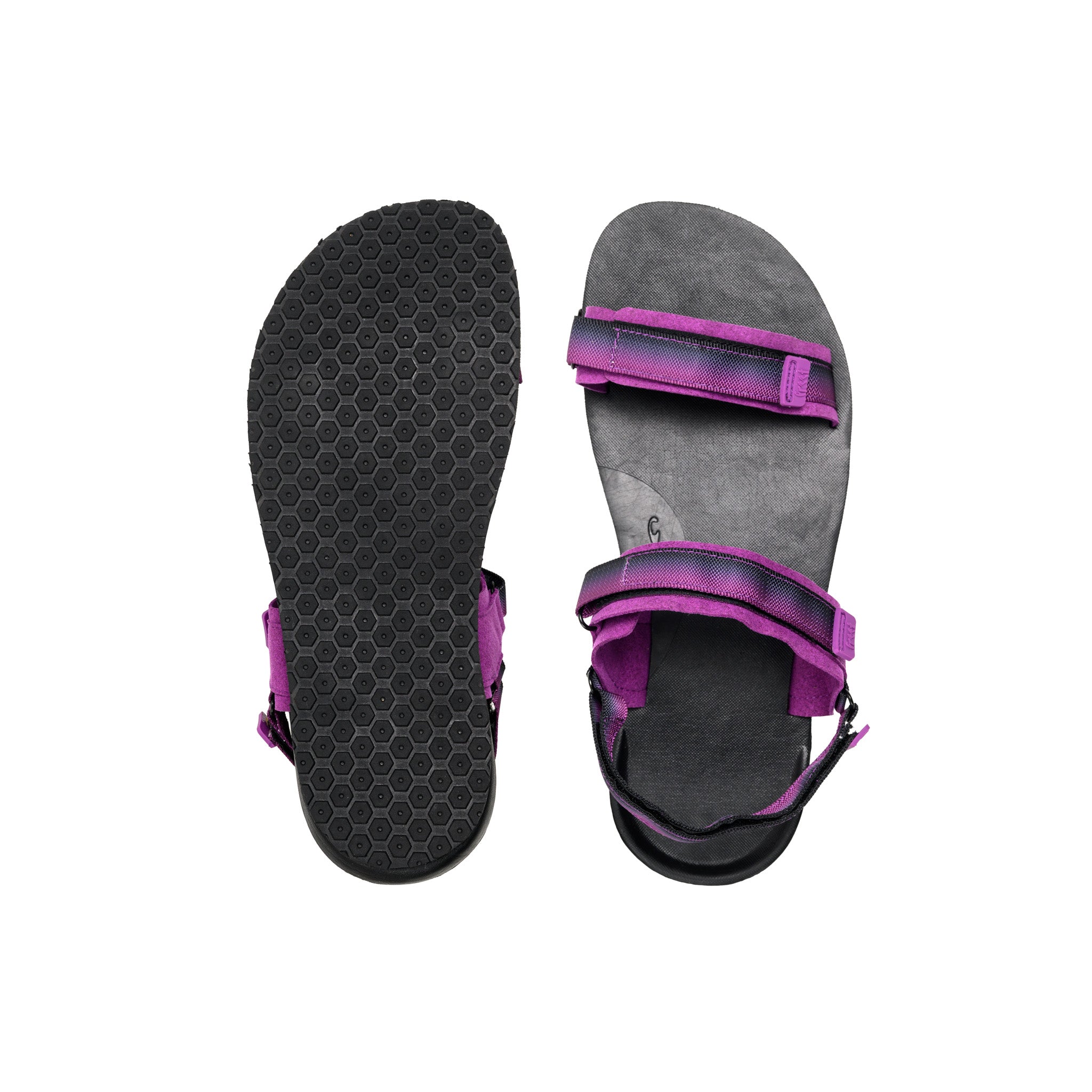 #color_purple